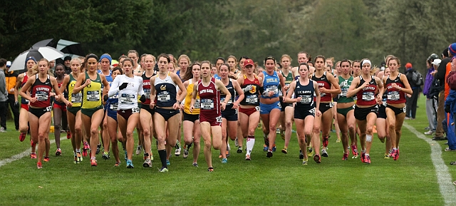 2010 NCAA West-036.JPG - 2010 NCAA West Region Cross Country Championships, November 13, hosted by University of Oregon at Springfield Country Club, Springfield, Oregon.